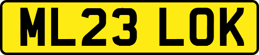 ML23LOK