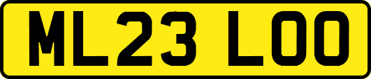 ML23LOO