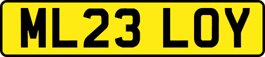 ML23LOY