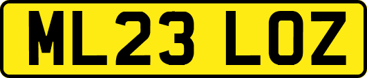 ML23LOZ
