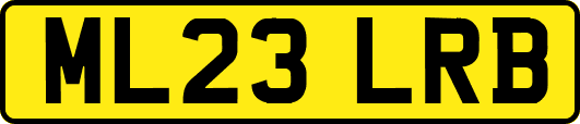 ML23LRB