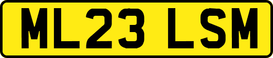 ML23LSM