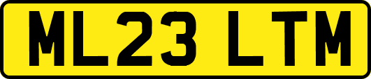 ML23LTM