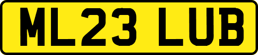 ML23LUB