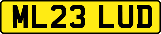 ML23LUD