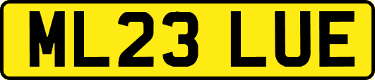 ML23LUE