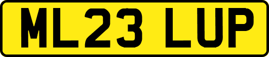 ML23LUP