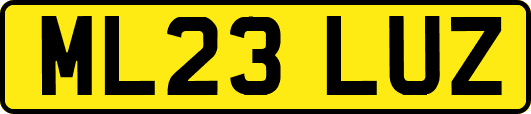 ML23LUZ
