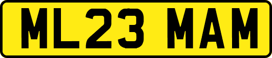 ML23MAM