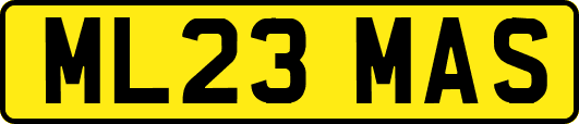 ML23MAS