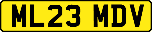 ML23MDV
