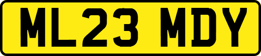ML23MDY