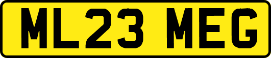 ML23MEG
