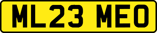 ML23MEO