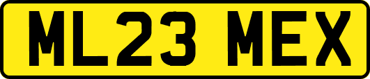 ML23MEX