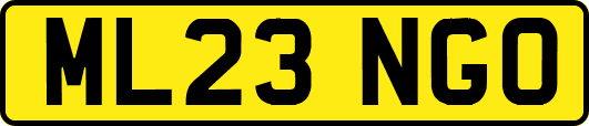 ML23NGO