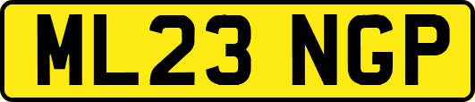 ML23NGP