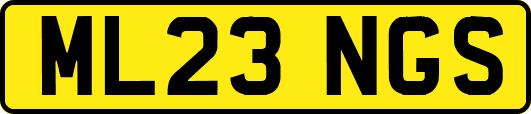 ML23NGS