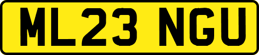 ML23NGU
