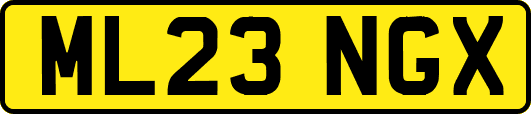 ML23NGX