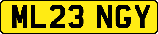 ML23NGY