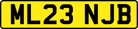 ML23NJB