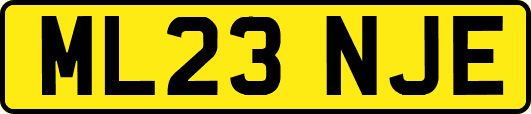ML23NJE