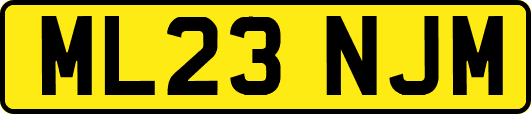 ML23NJM