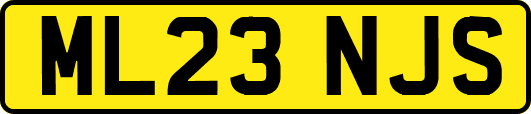 ML23NJS