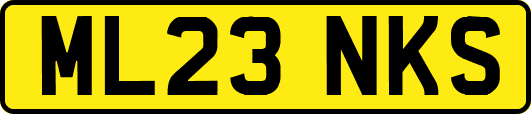 ML23NKS
