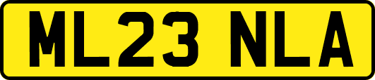 ML23NLA