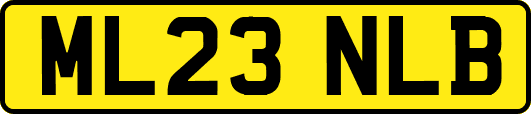 ML23NLB