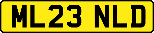 ML23NLD