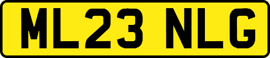 ML23NLG