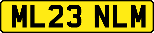 ML23NLM