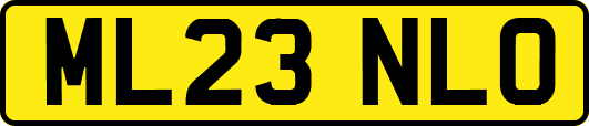 ML23NLO