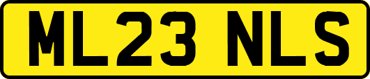 ML23NLS