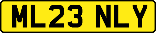 ML23NLY