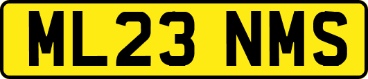 ML23NMS
