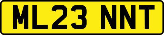 ML23NNT