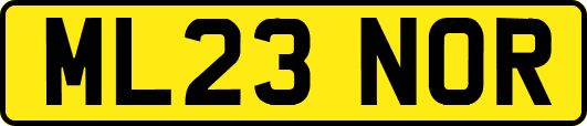 ML23NOR