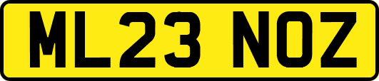 ML23NOZ