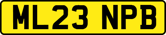 ML23NPB
