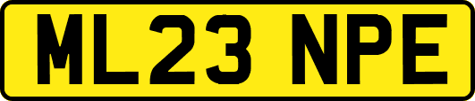 ML23NPE