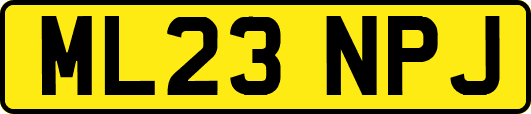 ML23NPJ