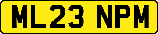 ML23NPM