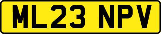 ML23NPV