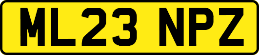 ML23NPZ