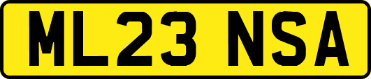 ML23NSA