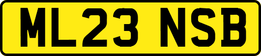 ML23NSB